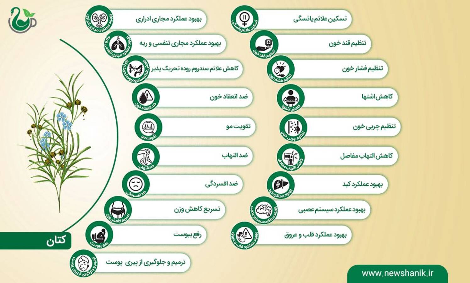 تخم کتان نیوشا