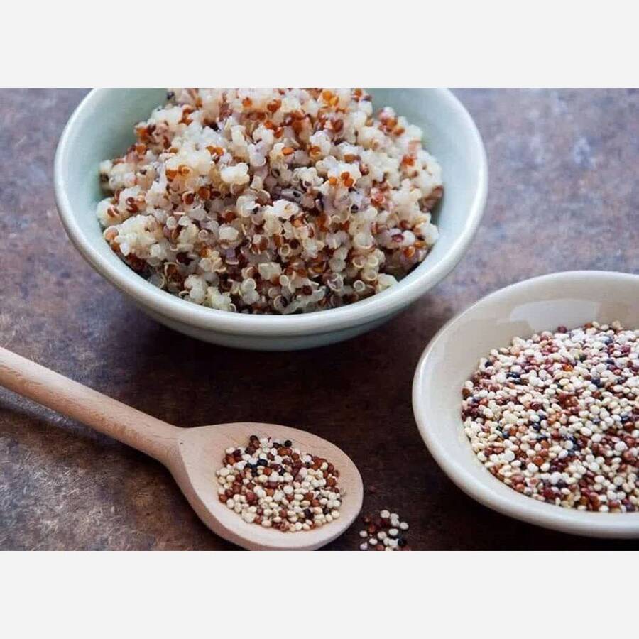 دانه کینوا رنگی نیوشا