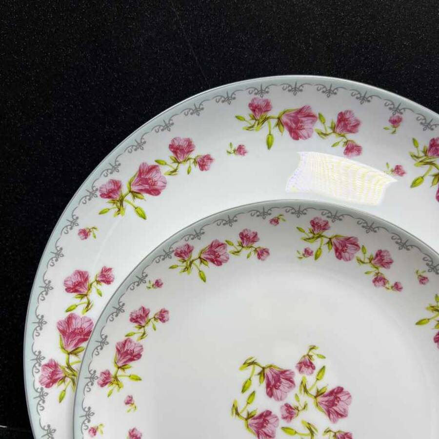 سرویس طرح اریانا فیروزه