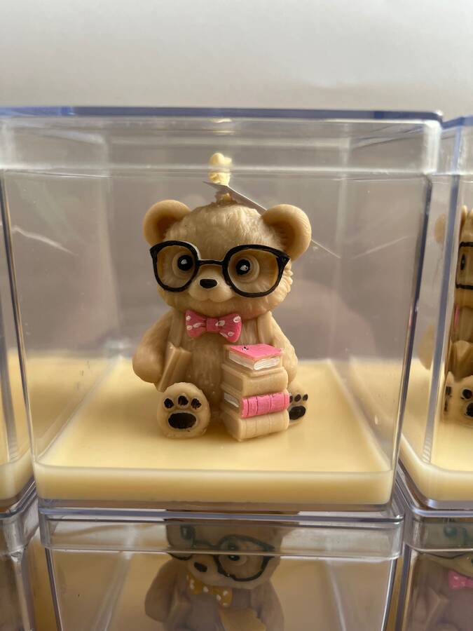 خرس با کوله پشتی 