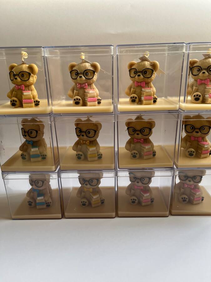 خرس با کوله پشتی 