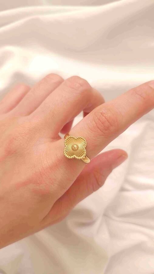 سرویس کامل ونکلیف