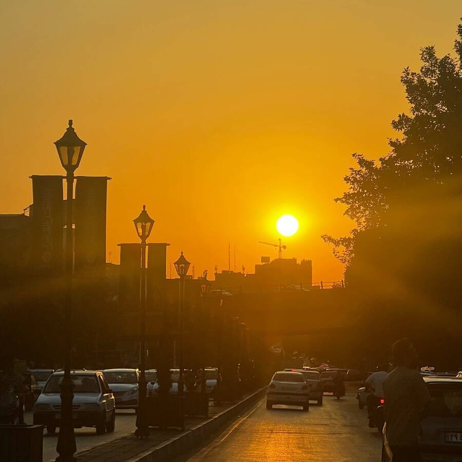 پروانه